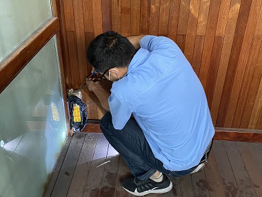 增城上门治白蚁中心住宅防白蚁,这几步千万不能少